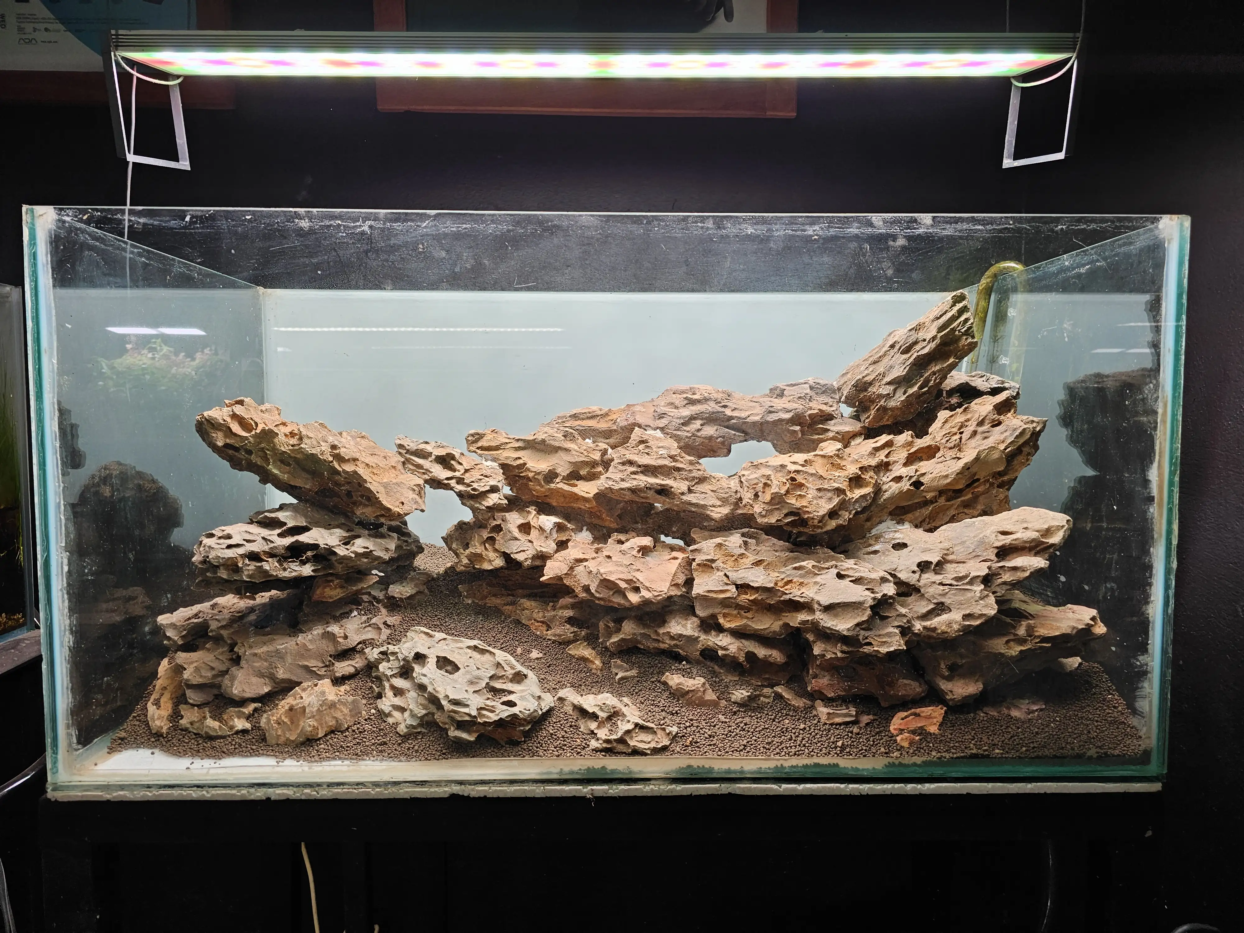 Aquascaping steps - Tigers in the Dragon - IAPLC 2025 Fine Works - Naadir Esmail / Mozambique